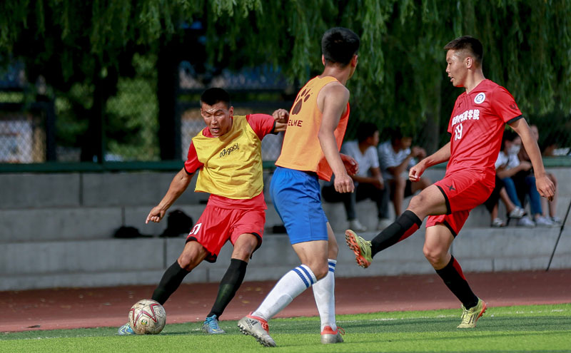 反针对的应 反针对的应